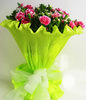 12 Lace Pink Carnations