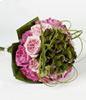 20 Purple roses with green foliages