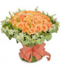 66 champagne roses