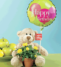Birthday Bear