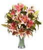 Pink flowers features pink lilies (stargrazers) and matching greenery