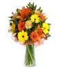 Lilies, solidago, carnations, and gerberas.