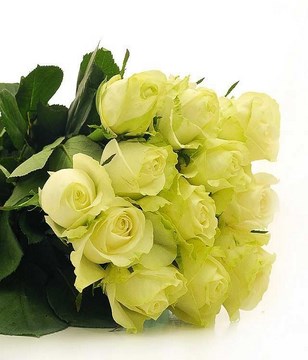 Bouquet of Dozen White Roses
