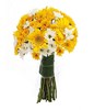 Yellow Gerberas, Yellow and White Daisies in a bouquet