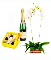 White Orchid, Sparkling Wine & Exotic Chocolates