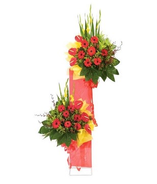 2-tier arrangement with combination of red gerberas and anthurium