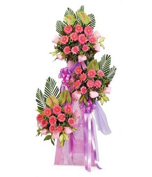 Standing arrangement of mix pink gerberas, anthurium & ribbon
