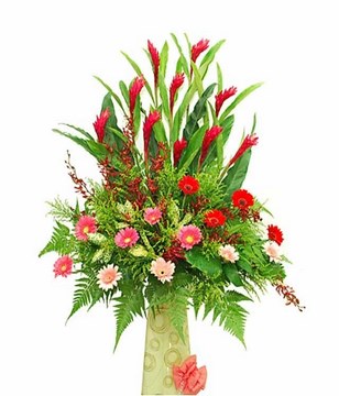 Red Ginger, Orchid & Mix Color Gerbera