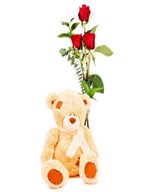 Bouquet of 3 Red Roses with Plush Bear