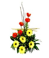 Basket of yellow and red gerberas