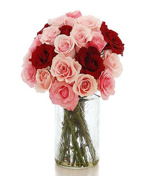 2 Dozen of Red and Pink Roses in a glass Vase 