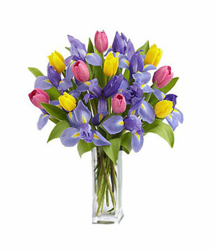 Tulips & Iris Bouquet 