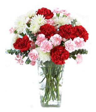 combination of Red Carnations, White Cushion Poms and Pale Pink Mini Carnations 