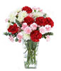 combination of Red Carnations, White Cushion Poms and Pale Pink Mini Carnations 