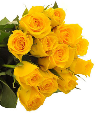 Bouquet of 12 Yellow Roses