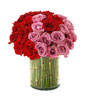 3 Dozen of Red and Purple Roses in a Vase