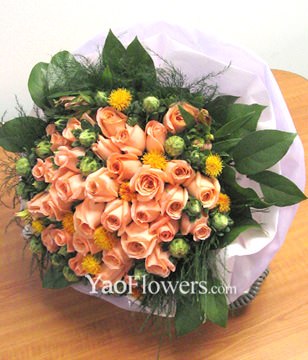 50 Pink Roses
