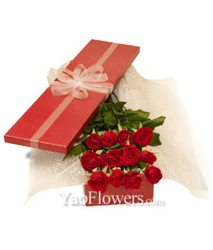 Boxed Roses - 12 Red Roses