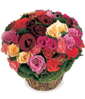 56 Mixed Roses