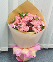 18 Pink Carnations