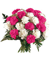 12 Pink Carnations and 12 White Carnations