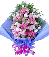 6 Pink lilium,royal blue