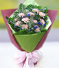 12 Pink Carnations