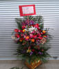 Two-Tier Hongkong Grand Opening Basket