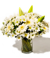 White Lilies,Gerbera Daisies,chrysanthemum 