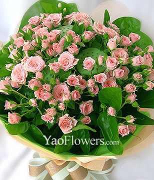 66 Mini pink roses