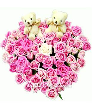 66 Pink roses and a pair of bear