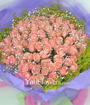 99 Pure Diana roses