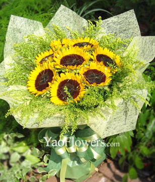 8 Sunflowers