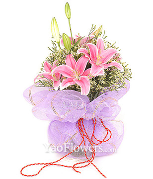 3 Pink Lilium with crystal grass