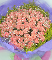 99 Pure Diana roses
