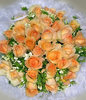 33 Champange roses