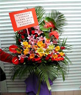 Macau Grand Opening Basket MOPENAA0605