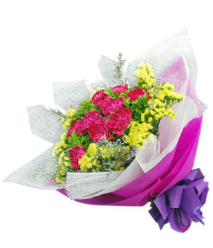 10 Stalks Cherry Pink Carnations in a Bouquet