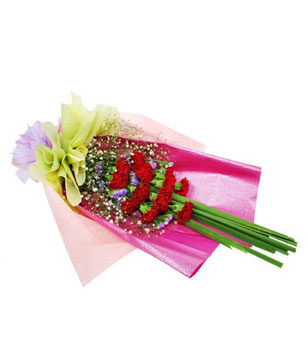 12 Red Carnations in a Bouquet