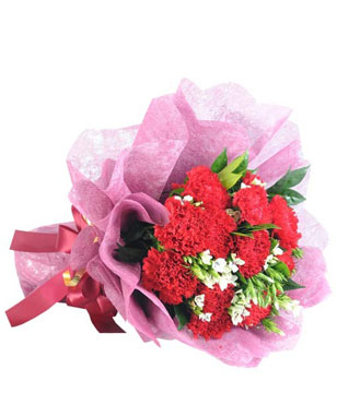 Bouquet of 12 Red Carnations