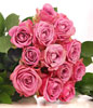 Bouquet of 12 Pink Roses 