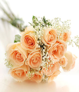 12 Peach Roses Hand Bouquet 
