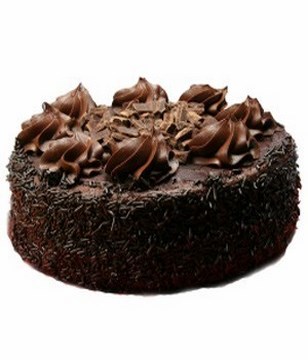 Deluxe Chocolate Fudge Cake