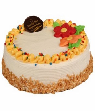 Homemade Deluxe Vanilla Cake