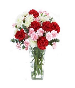  combination of Red Carnations, White Cushion Poms and Pale Pink Mini Carnations