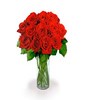 Bouquet of 12 Extra Long Stemmed Red Roses