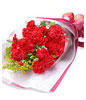 10 Stem of red Carnations in Bouquet 
