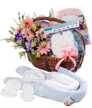Baby gifts and new borns