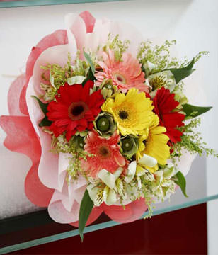 6 mixed gerberas
