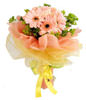 12 pink gerberas